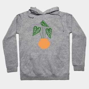 Monstera Leaves Hoodie